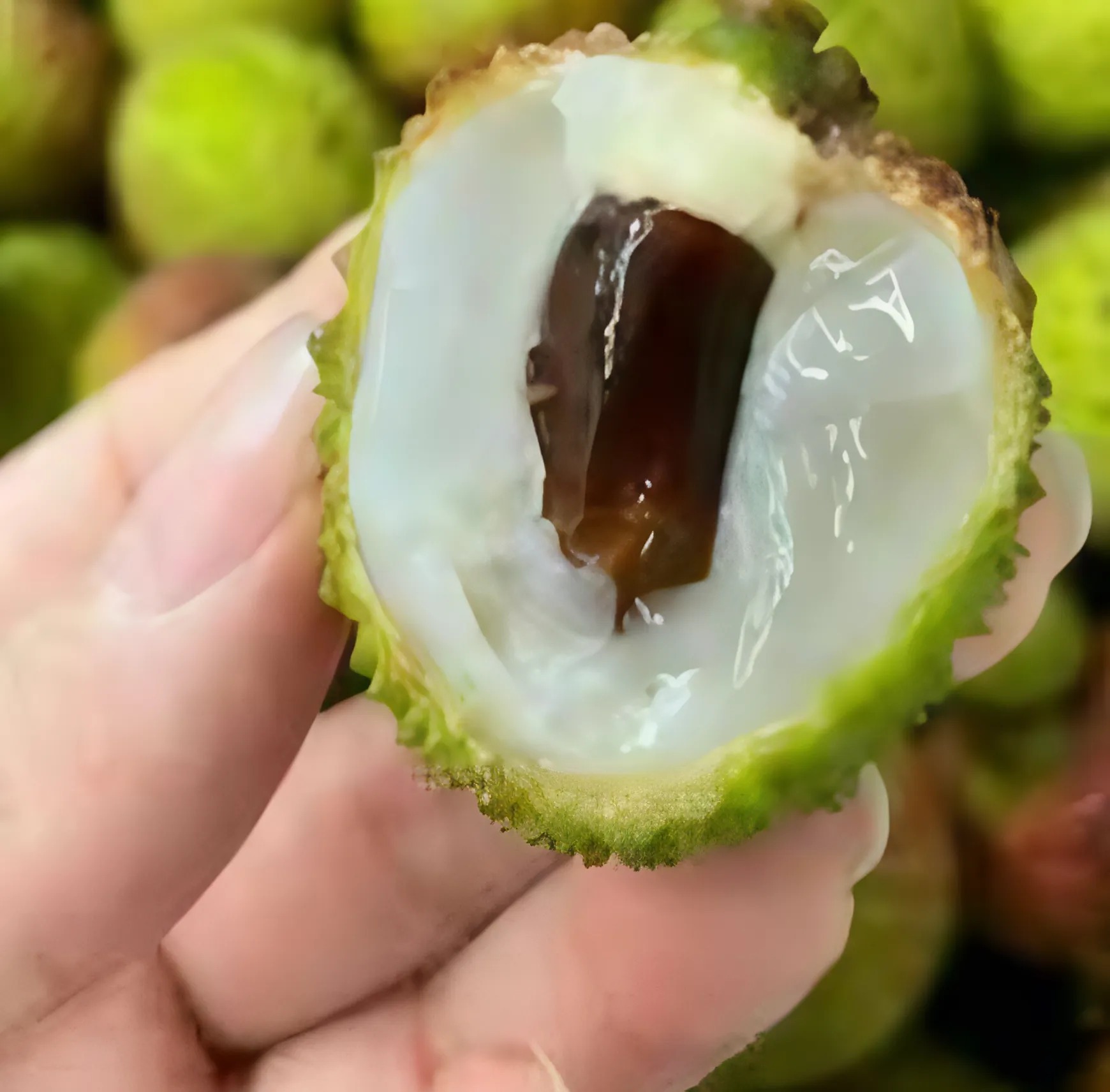 Lichi